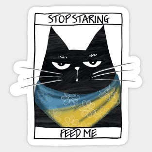 Funny black cat and inscription "Stop staring, feed me" Sticker